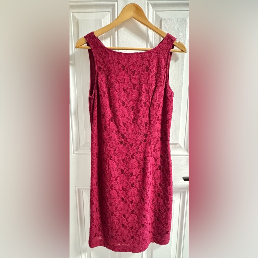 Banana Republic Lace Sheath Dress Size 6 Pink Sleeveless Cocktail Wedding Guest